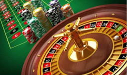 VIBET88 casino - Thiên đường giải trí đổi thưởng xanh chín