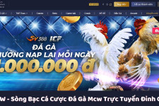 MCW - Sòng Bạc Cá Cược Đá Gà Mcw Trực Tuyến Đỉnh Cao