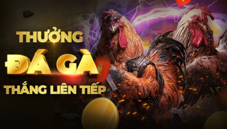 Venus Casino - Nhà cái Venus Casino đá gà chuyên nghiệp - Link vào Venus Casino