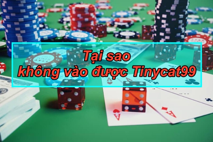 tinycat99 lừa đảo